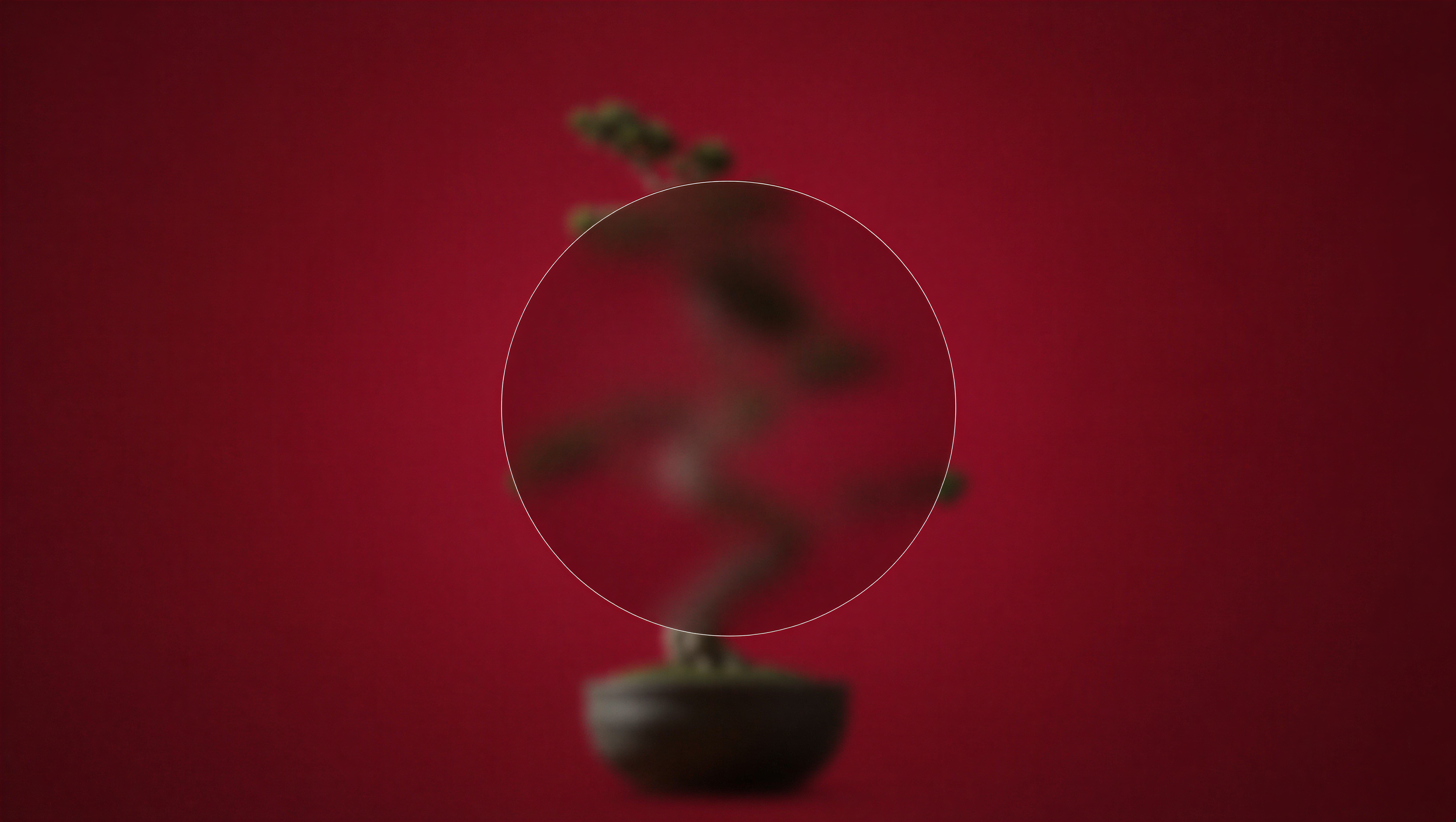 Portfolio Website